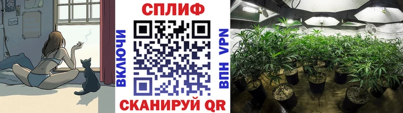 Конопля AK-47  Тихвин 